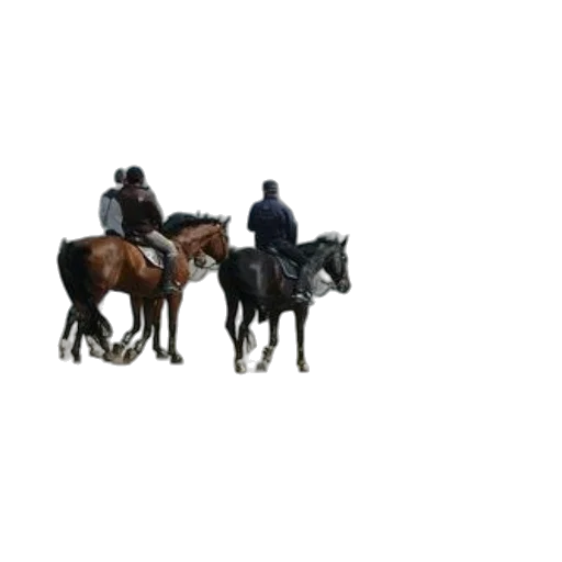staff, animal, hat, jacket, 3d render, concept art, pixel art, photorealistic transparent PNG cut-out