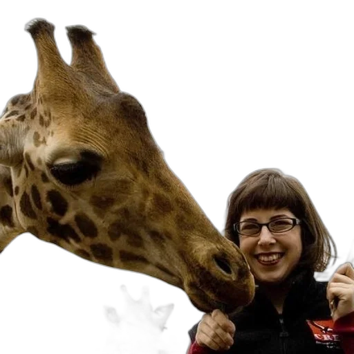 animal, creature, staff, woman transparent PNG cut-out