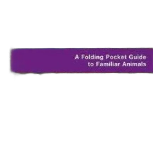 staff, jewelry, folding, pocket, guide, familiar, animals, written transparent PNG cut-out