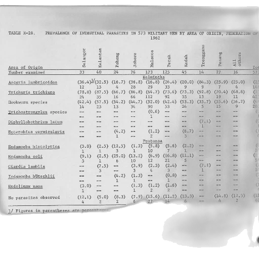 table, showing, prevalence, intestinal, parasites, 573, military, men transparent PNG cut-out