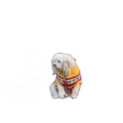 jacket, animal, staff, creature, watercolor, photorealistic, oil painting, pixel art transparent PNG cut-out