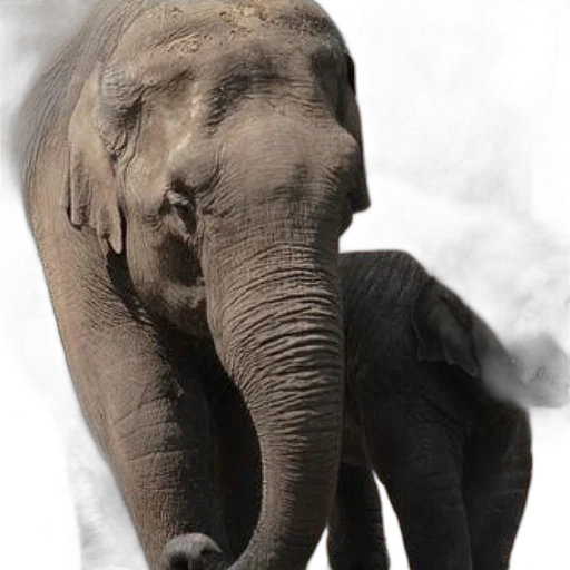 animal, staff, creature, face, photorealistic, concept art, 3d render, pencil sketch transparent PNG cut-out