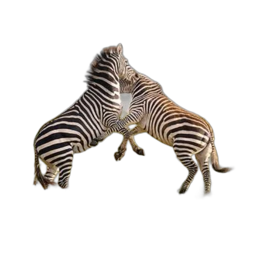 animal, jewelry, creature, dragon, 3d render, concept art, photorealistic, two transparent PNG cut-out
