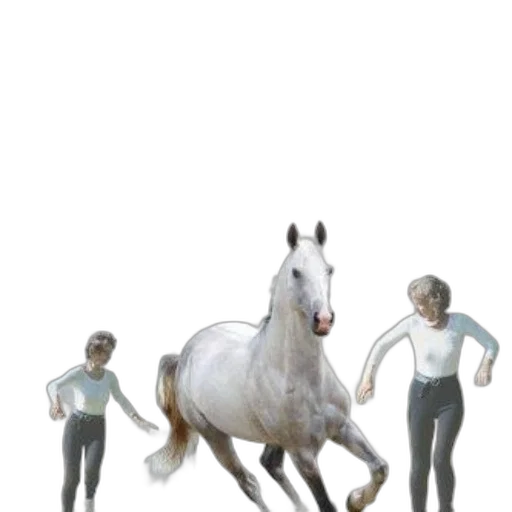 animal, creature, hair, staff, concept art, 3d render, fantasy art, photorealistic transparent PNG cut-out