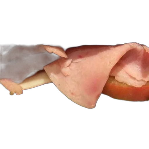 food, animal, creature, dragon, photorealistic, 3d render, concept art, sandwich transparent PNG cut-out