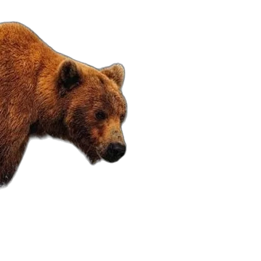 animal, creature, staff, face, photorealistic, 3d render, concept art, pixel art transparent PNG cut-out