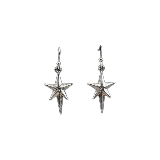 jewelry, pair, silver, earrings, star, design, displayed, against transparent PNG cut-out