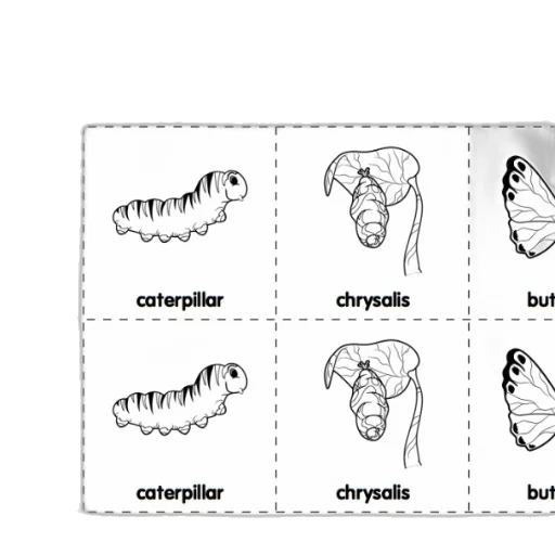 creature, jewelry, mask, animal, concept art, set, black-and-white, picture transparent PNG cut-out