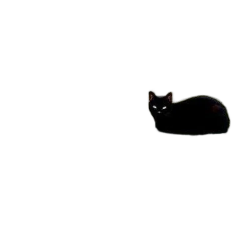 animal, creature, hat, staff, pixel art, photorealistic, concept art, 3d render transparent PNG cut-out