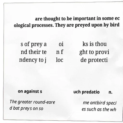 text-based, image, discussing, ecological, importance, birds, their, tendency transparent PNG cut-out