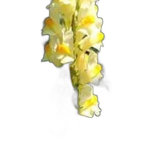 flower, jewelry, staff, food, 3d render, photorealistic, concept art, pastel transparent PNG cut-out