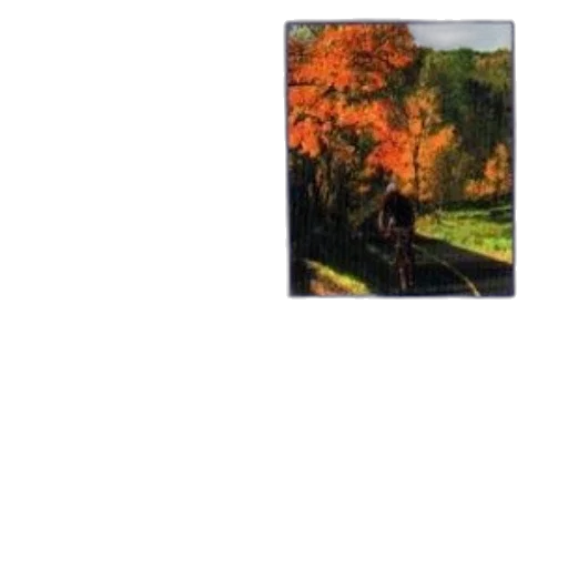 tree, animal, car, dragon, photorealistic, oil painting, pixel art, concept art transparent PNG cut-out
