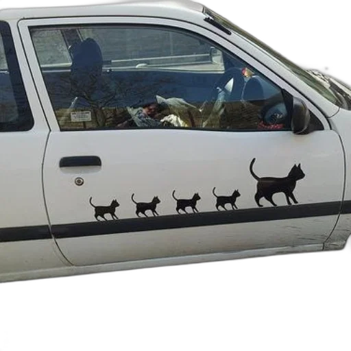 car, animal, white, series, black, cat, decals, side transparent PNG cut-out