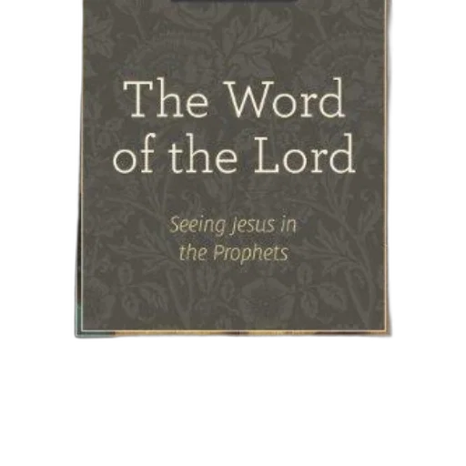sword, word, lord, seeing, jesus, prophets, book, explores transparent PNG cut-out