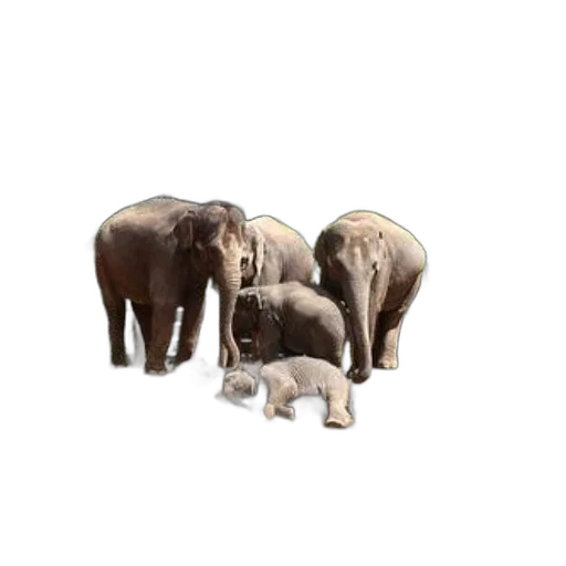 animal, furniture, creature, staff, 3d render, concept art, photorealistic, oil painting transparent PNG cut-out