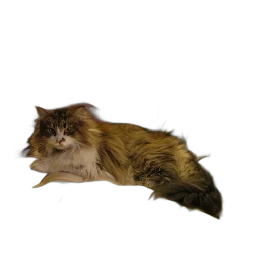 animal, creature, staff, hair, photorealistic, 3d render, concept art, pixel art transparent PNG cut-out