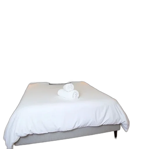 furniture, staff, crown, umbrella, 3d render, photorealistic, monochrome, cozy transparent PNG cut-out