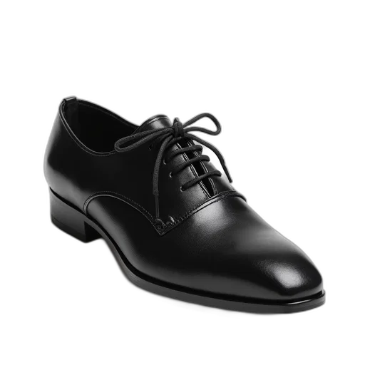 shoes, photorealistic, 3d render, black, leather, shoe, lace-up, front transparent PNG cut-out