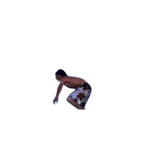 creature, animal, pixel art, surfer, floral, swimsuit, rides, wave transparent PNG cut-out
