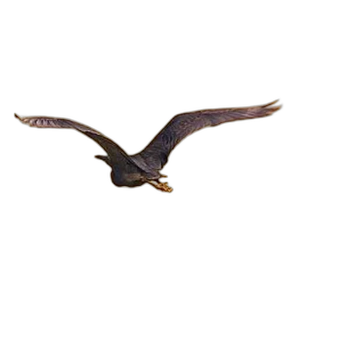 animal, staff, creature, dragon, photorealistic, 3d render, concept art, oil painting transparent PNG cut-out