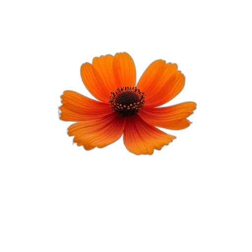 flower, crown, staff, jewelry transparent PNG cut-out
