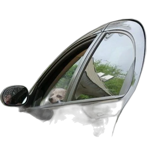 car, umbrella, photorealistic, small, dog, peers, out, window transparent PNG cut-out