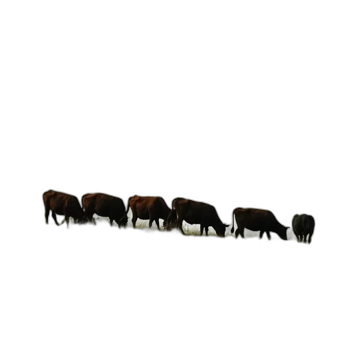 furniture, animal, staff, building, 3d render, concept art, photorealistic, pixel art transparent PNG cut-out