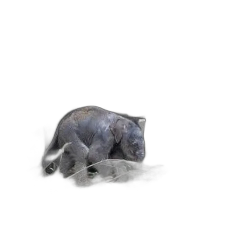 animal, creature, dragon, robot, photorealistic, 3d render, concept art, pencil sketch transparent PNG cut-out