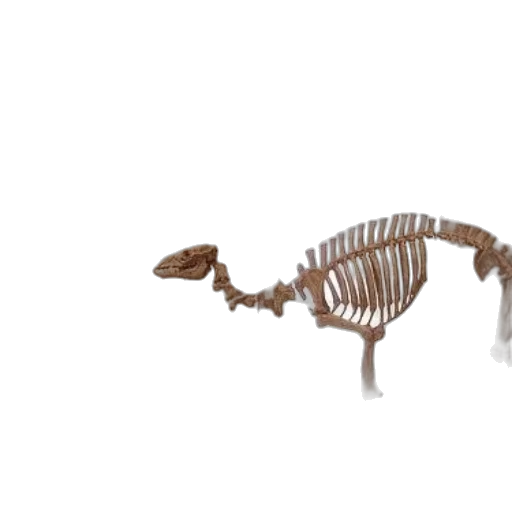 animal, creature, dragon, weapon, 3d render, concept art, person, admires transparent PNG cut-out