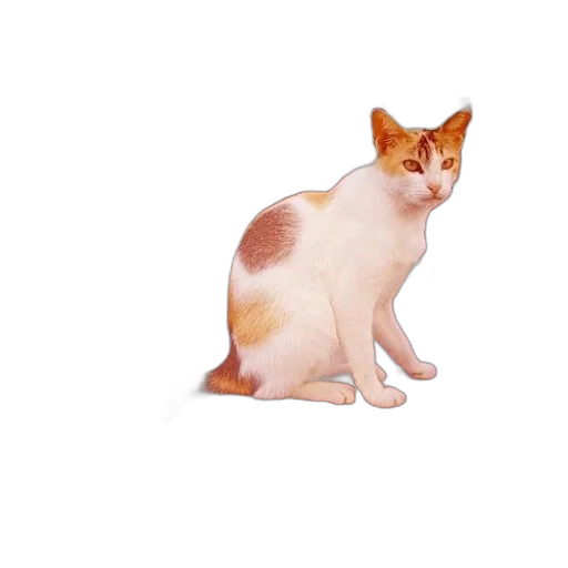 animal, creature, staff, food, 3d render, photorealistic, pixel art, concept art transparent PNG cut-out
