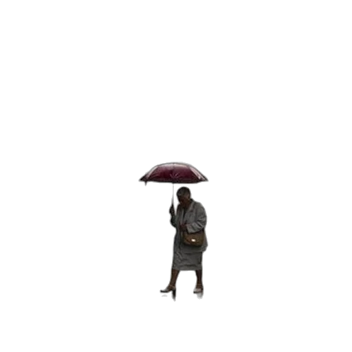 umbrella, animal, staff, hat, pixel art, concept art, 3d render, photorealistic transparent PNG cut-out