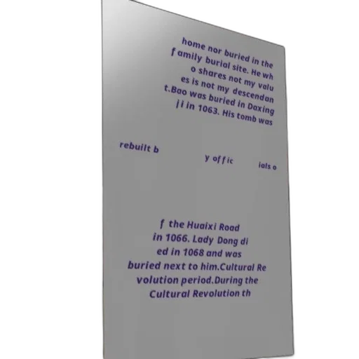 food, 3d render, text-based, image, discussing, burial, bao, lady transparent PNG cut-out