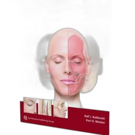 mask, face, photorealistic, pictorial, atlas, clinical, anatomy, ralf transparent PNG cut-out