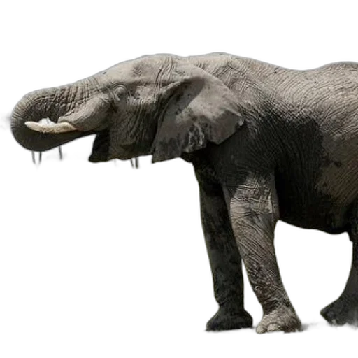animal, creature, jewelry, staff, concept art, photorealistic, 3d render, majestic transparent PNG cut-out