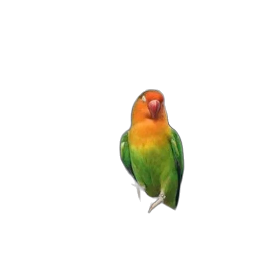 animal, creature, staff, face, 3d render, photorealistic, watercolor, pixel art transparent PNG cut-out