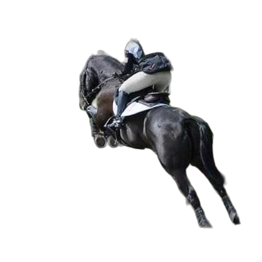 animal, robot, jacket, staff, 3d render, concept art, photorealistic, horse transparent PNG cut-out