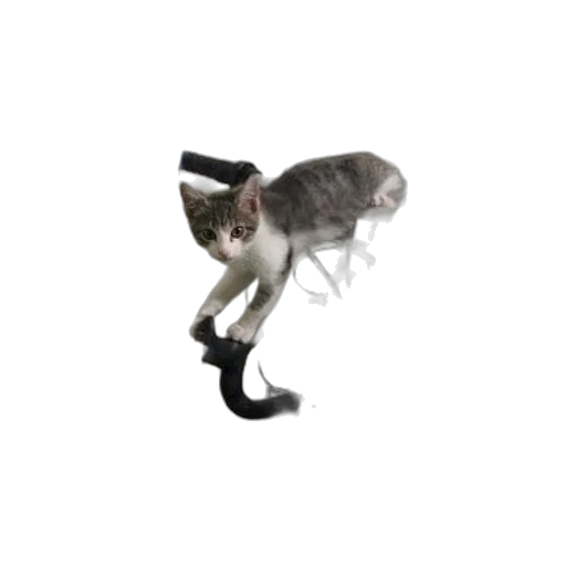 animal, staff, creature, weapon, 3d render, concept art, photorealistic, pixel art transparent PNG cut-out