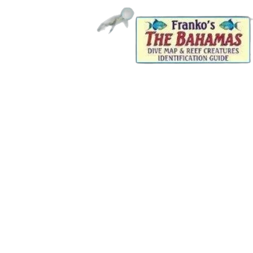colorful, map, bahamas, various, islands, labeled, including, grand transparent PNG cut-out