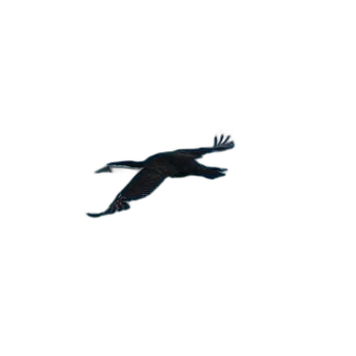 animal, creature, dragon, staff, pixel art, concept art, photorealistic, 3d render transparent PNG cut-out