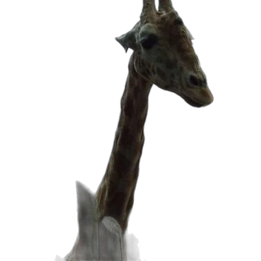 animal, staff, creature, dragon, 3d render, concept art, photorealistic, fantasy art transparent PNG cut-out