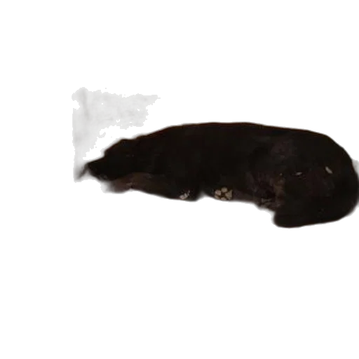 animal, food, creature, hair, photorealistic, concept art, 3d render, watercolor transparent PNG cut-out