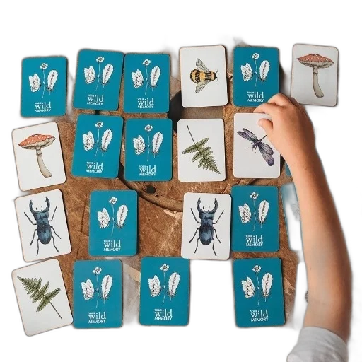 jewelry, furniture, child, hand, reaches, card, among, collection transparent PNG cut-out