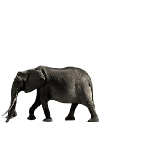 animal, creature, weapon, furniture, 3d render, concept art, photorealistic, sepia-toned transparent PNG cut-out