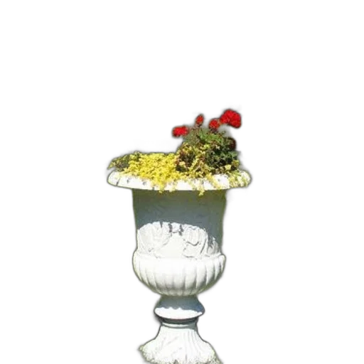 jewelry, crown, food, hat, 3d render, white, ornate, garden transparent PNG cut-out