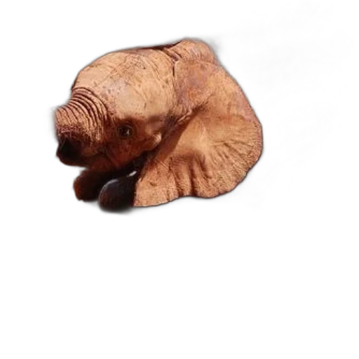 animal, creature, hat, hair, 3d render, photorealistic, concept art, oil painting transparent PNG cut-out