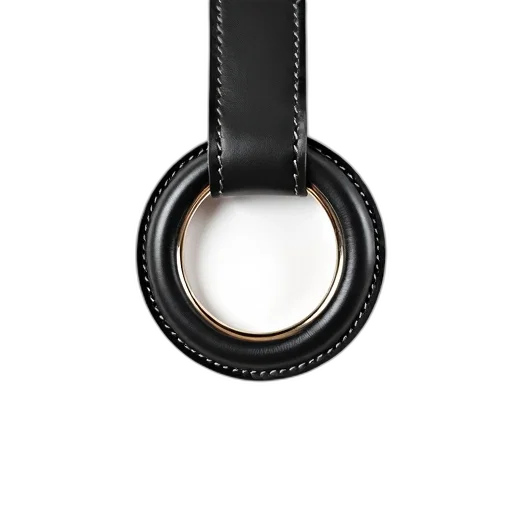 jewelry, staff, shoes, hair, 3d render, black, leather, harness transparent PNG cut-out