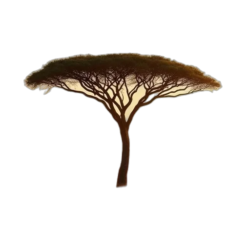 tree, hair, crown, staff, concept art, photorealistic, 3d render, watercolor transparent PNG cut-out