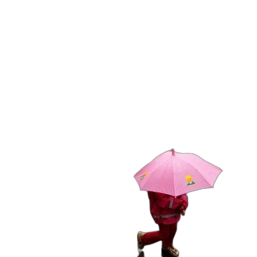 umbrella, staff, hat, animal, 3d render, concept art, pixel art, photorealistic transparent PNG cut-out