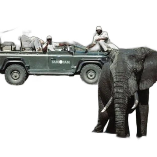 car, animal, concept art, safari, vehicle, tourists, observing, elephant transparent PNG cut-out