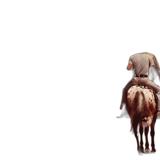 animal, creature, hair, hat, concept art, 3d render, photorealistic, pixel art transparent PNG cut-out